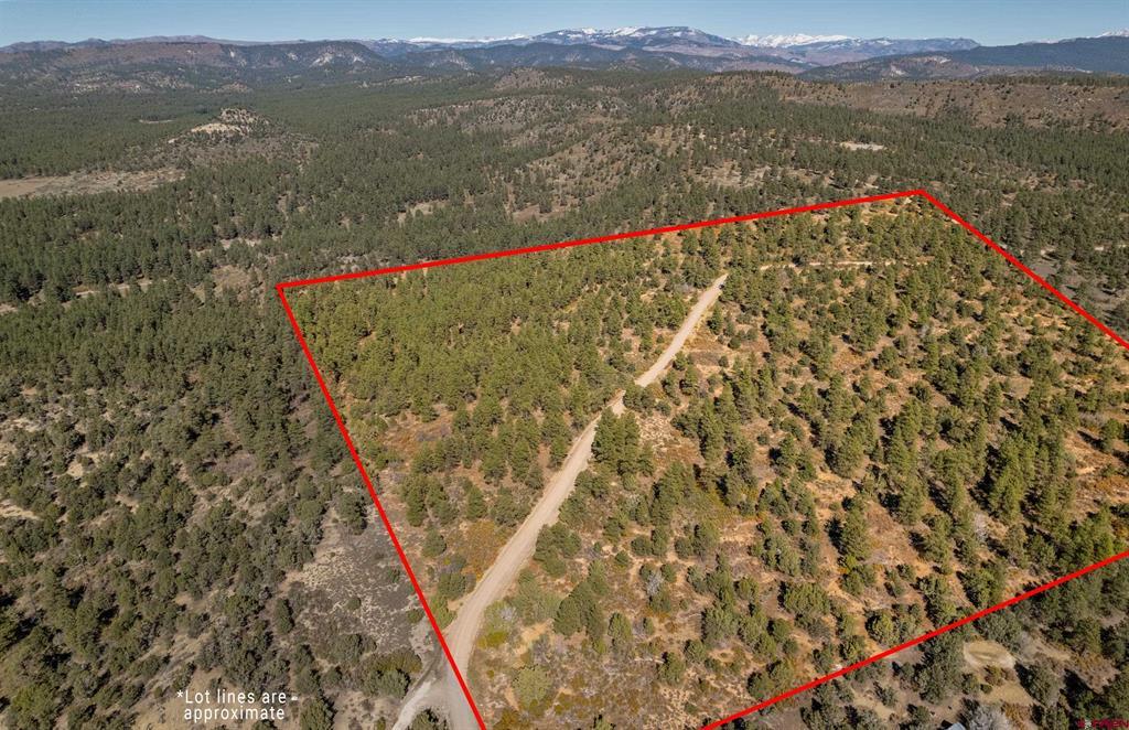 Lot 3 Foxfire Ranch Bayfield CO 81122