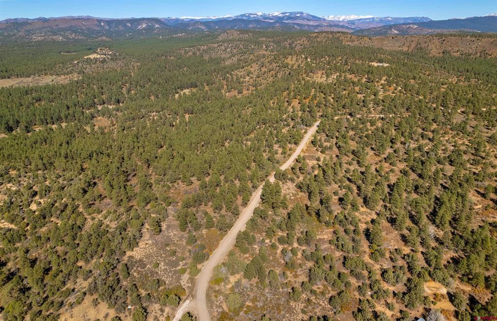 Lot 3 Foxfire Ranch Bayfield CO 81122