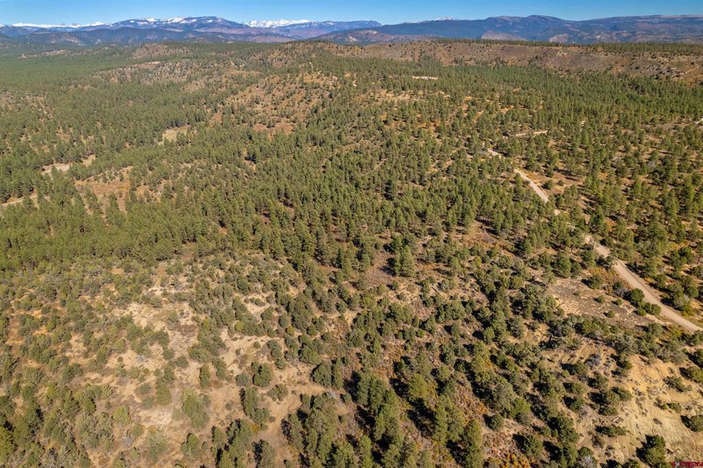 Lot 3 Foxfire Ranch Bayfield CO 81122