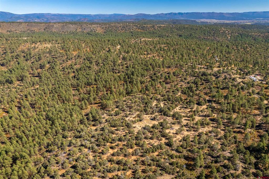 Lot 3 Foxfire Ranch Bayfield CO 81122