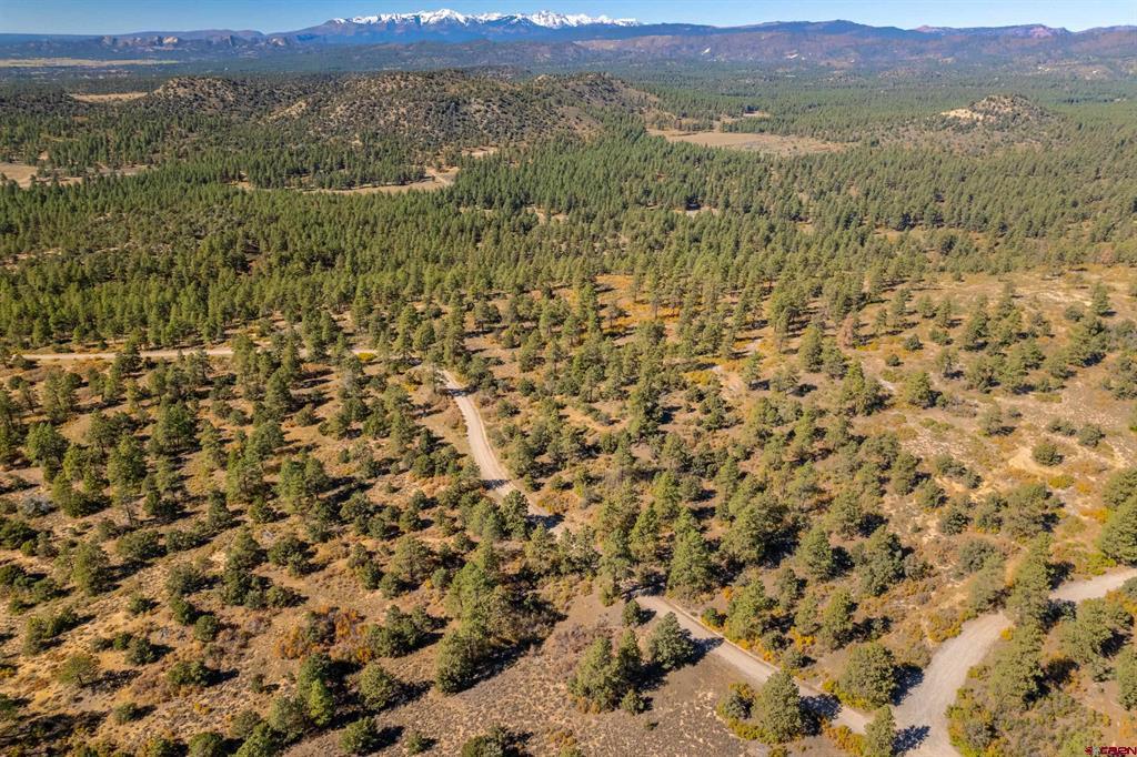 Lot 3 Foxfire Ranch Bayfield CO 81122