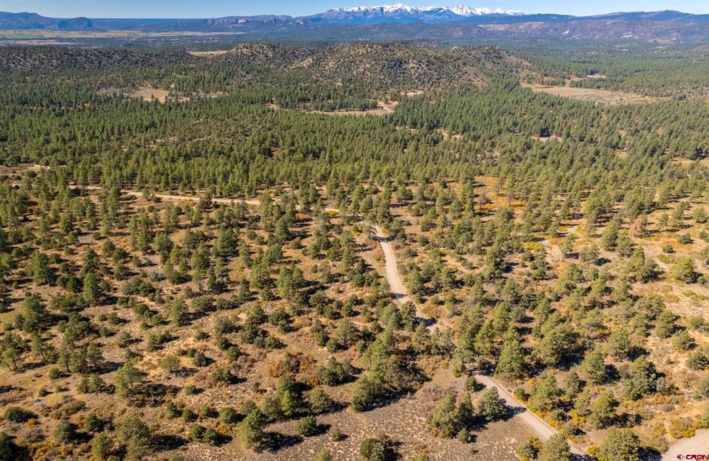 Lot 3 Foxfire Ranch Bayfield CO 81122