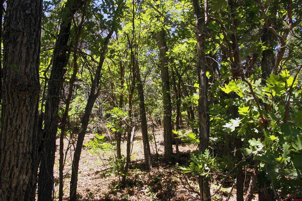 2868/2892 Crooked Road Pagosa Springs CO 81147