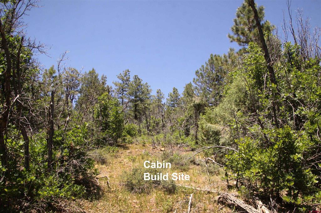2868/2892 Crooked Road Pagosa Springs CO 81147
