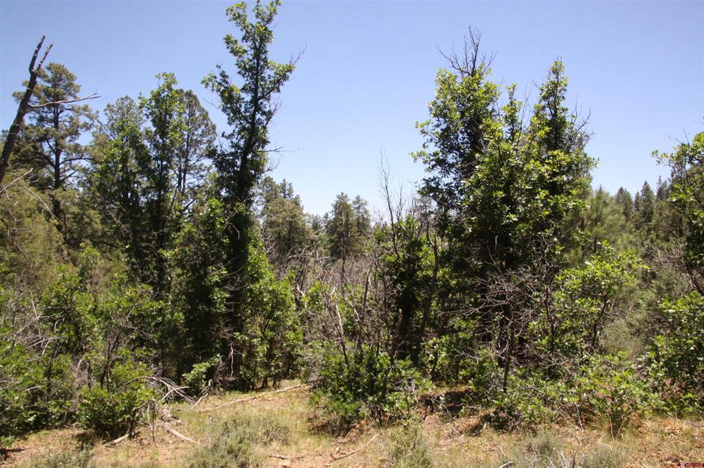 2868/2892 Crooked Road Pagosa Springs CO 81147
