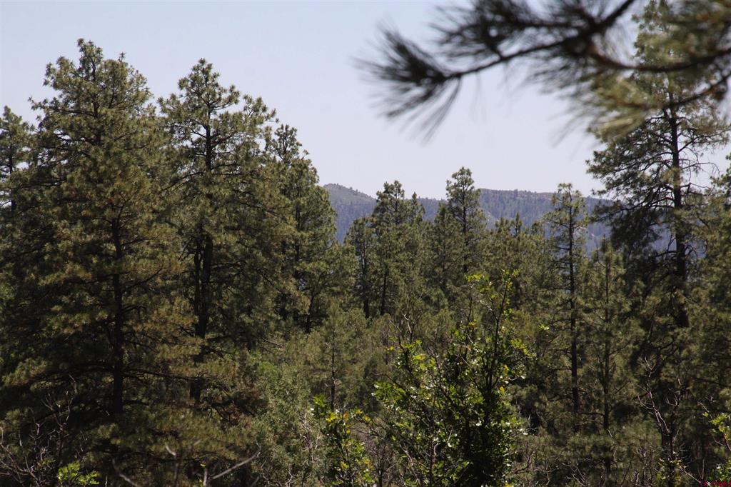 2868/2892 Crooked Road Pagosa Springs CO 81147