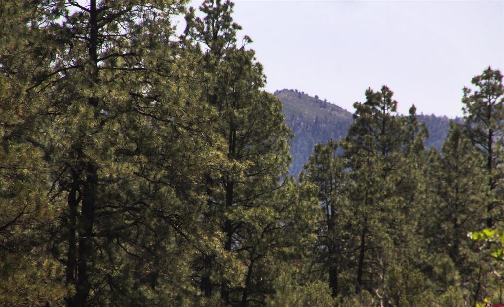 2868/2892 Crooked Road Pagosa Springs CO 81147