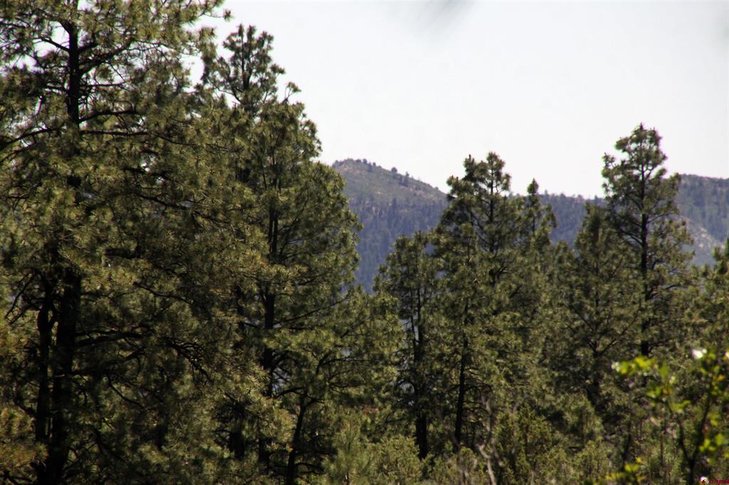 2868/2892 Crooked Road Pagosa Springs CO 81147