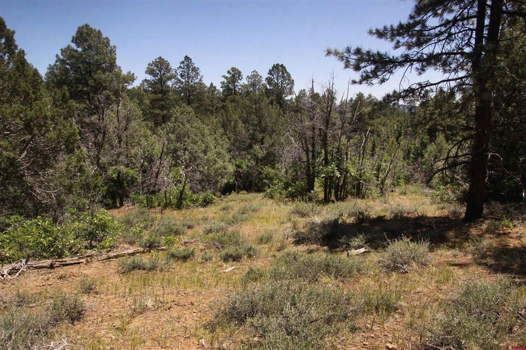 2868/2892 Crooked Road Pagosa Springs CO 81147