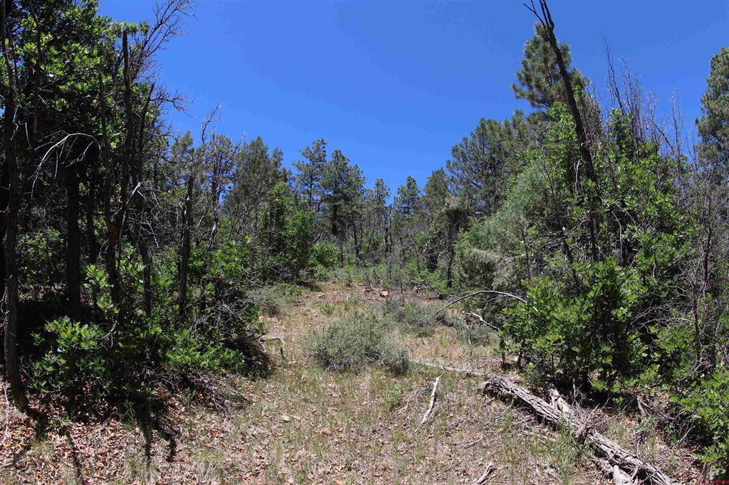 2868/2892 Crooked Road Pagosa Springs CO 81147