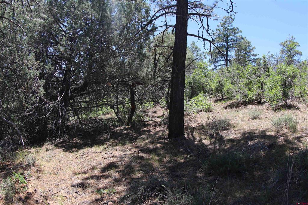 2868/2892 Crooked Road Pagosa Springs CO 81147