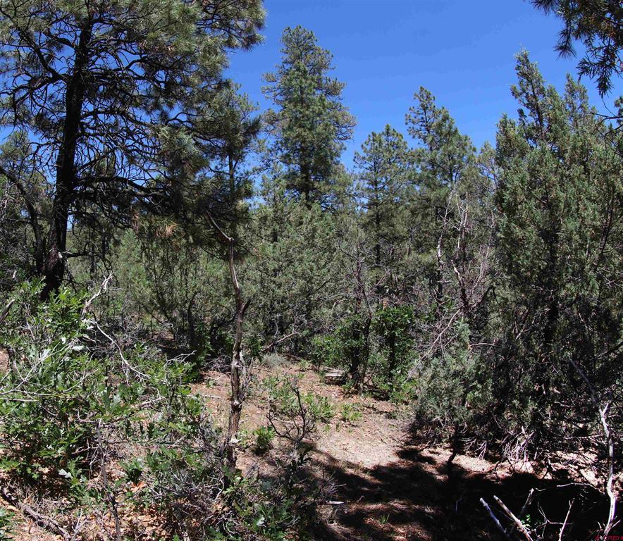 2868/2892 Crooked Road Pagosa Springs CO 81147
