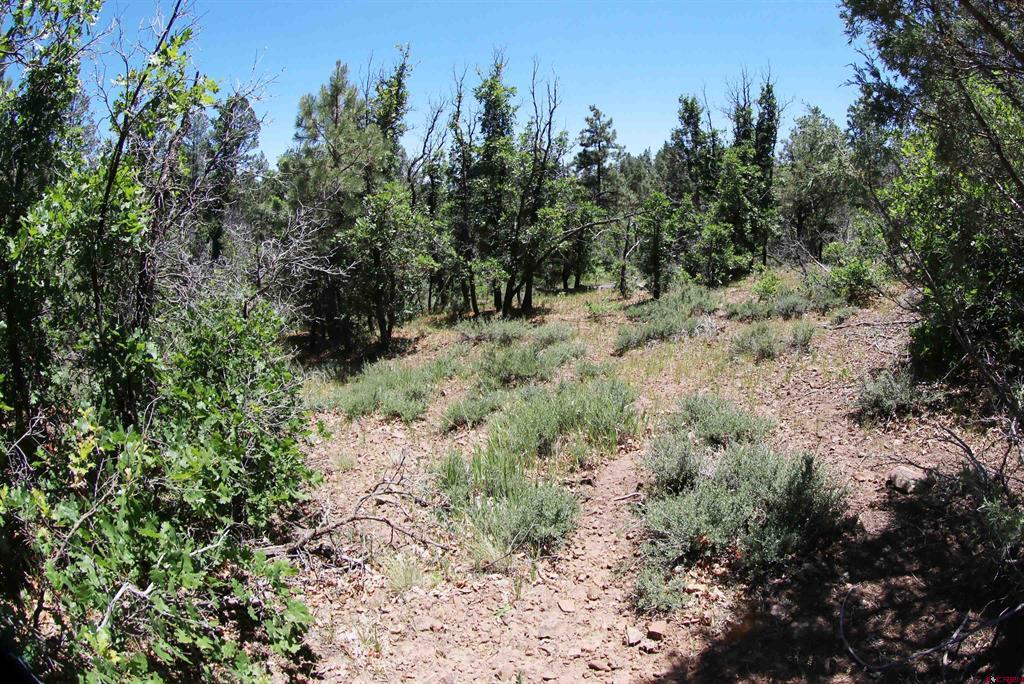 2868/2892 Crooked Road Pagosa Springs CO 81147