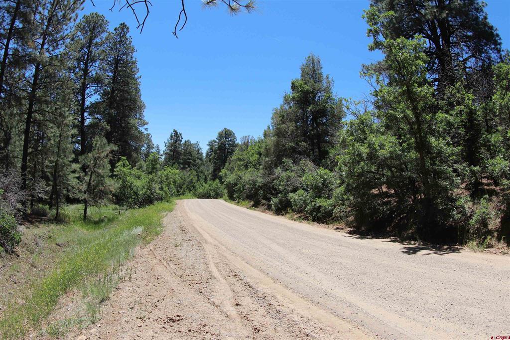 2868/2892 Crooked Road Pagosa Springs CO 81147