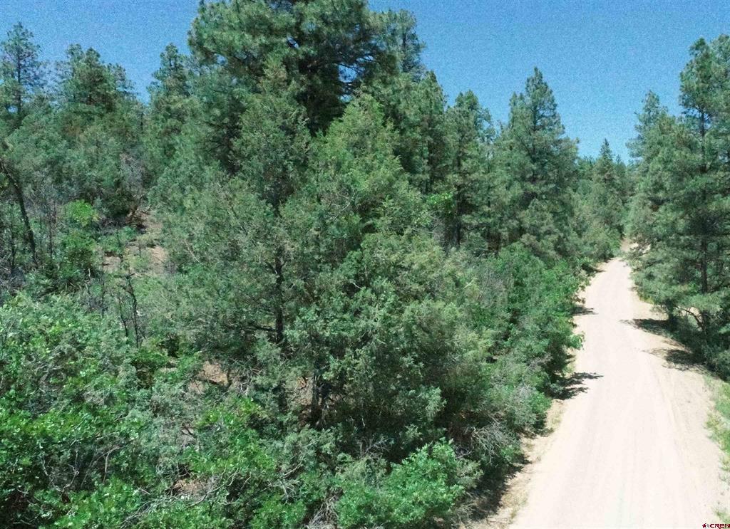 2868/2892 Crooked Road Pagosa Springs CO 81147