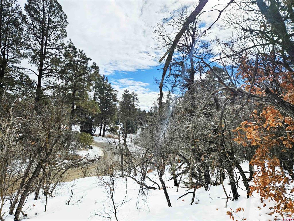 2868/2892 Crooked Road Pagosa Springs CO 81147