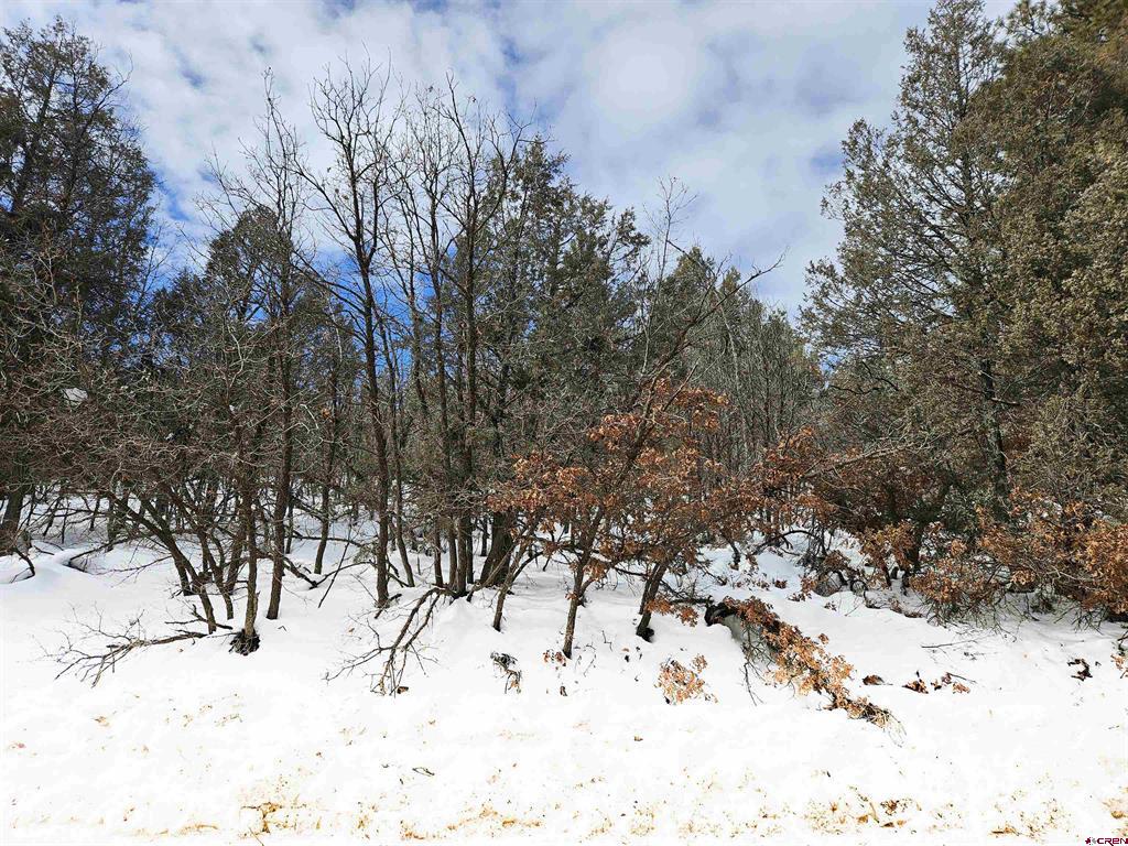 2868/2892 Crooked Road Pagosa Springs CO 81147
