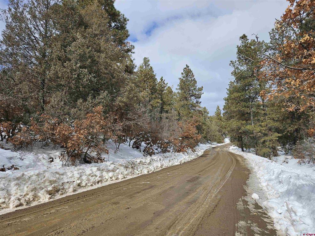 2868/2892 Crooked Road Pagosa Springs CO 81147