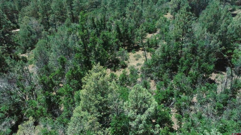 2868/2892 Crooked Road Pagosa Springs CO 81147