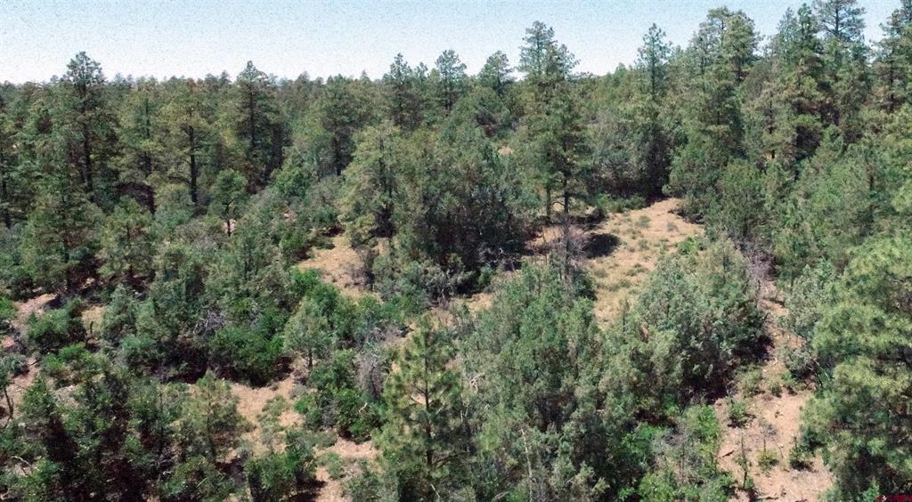 2868/2892 Crooked Road Pagosa Springs CO 81147