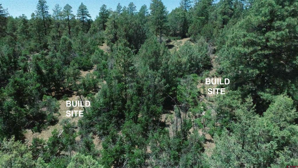 2868/2892 Crooked Road Pagosa Springs CO 81147
