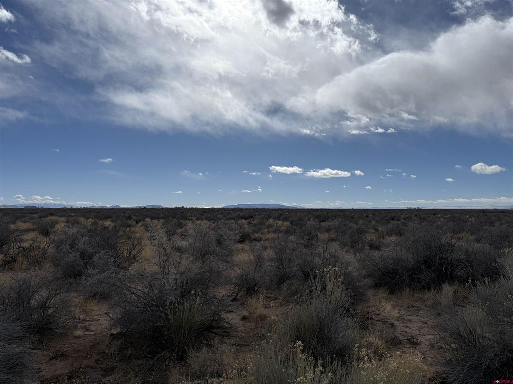 Tbd County Road 6 South Alamosa CO 81101