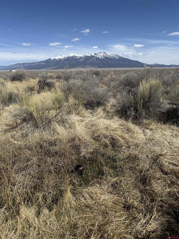 Tbd County Road 6 South Alamosa CO 81101