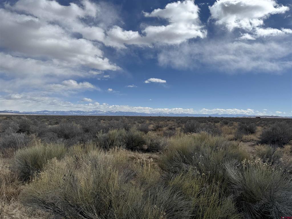 Tbd County Road 6 South Alamosa CO 81101