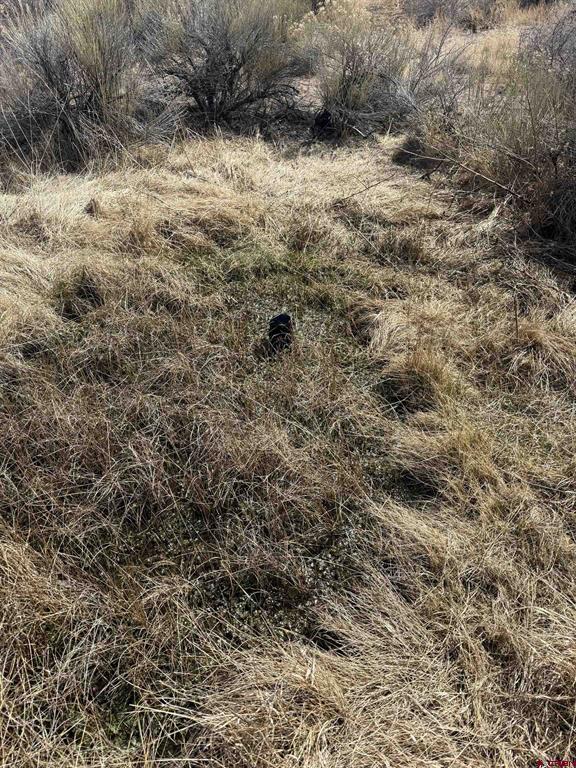 Tbd County Road 6 South Alamosa CO 81101