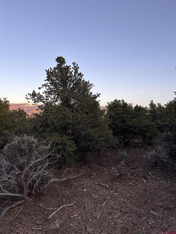 000 East View Lane San Luis CO 81152