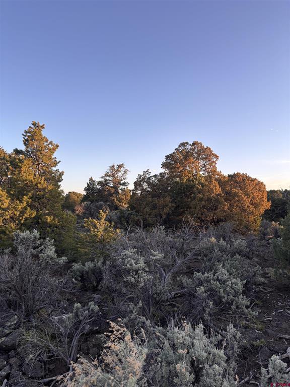 000 East View Lane San Luis CO 81152