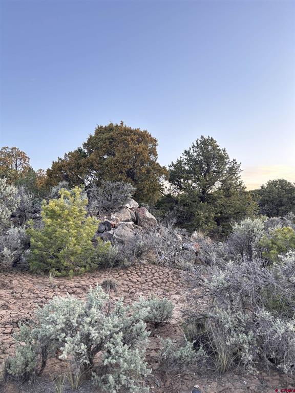 000 East View Lane San Luis CO 81152