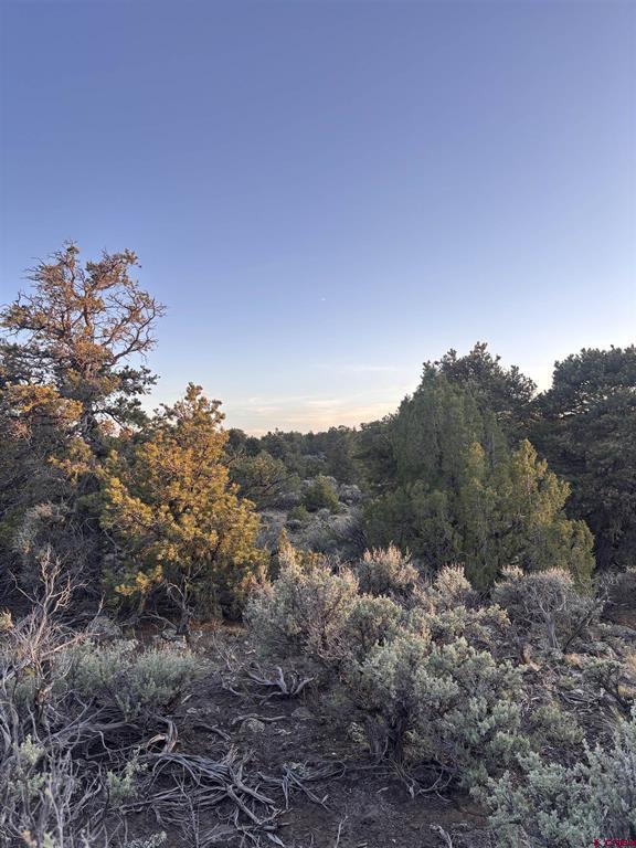 000 East View Lane San Luis CO 81152