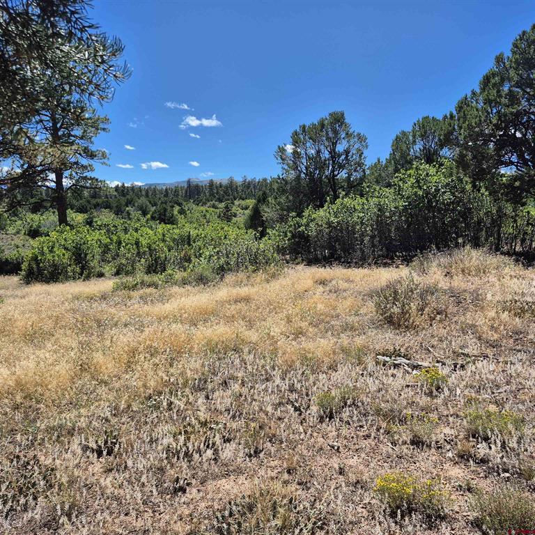 1620 Wildcat Canyon Road Montrose CO 81403