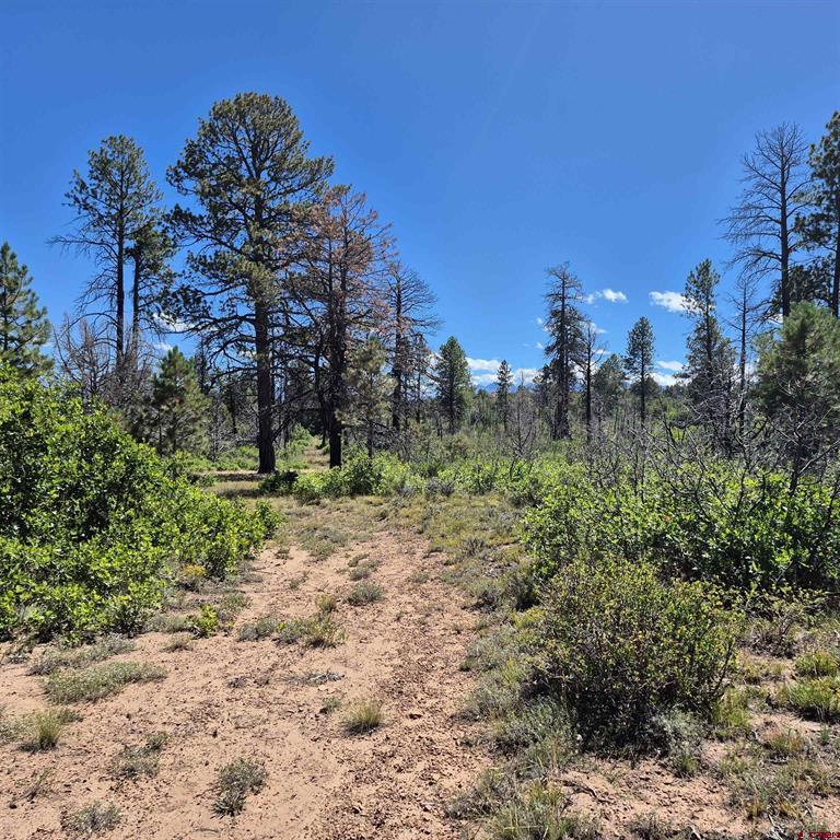 1620 Wildcat Canyon Road Montrose CO 81403