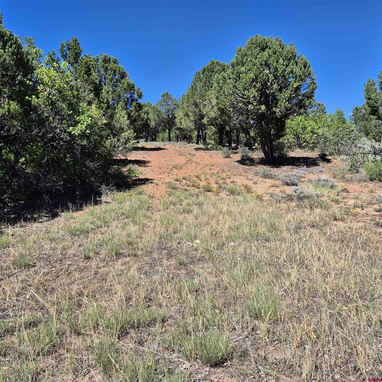1620 Wildcat Canyon Road Montrose CO 81403