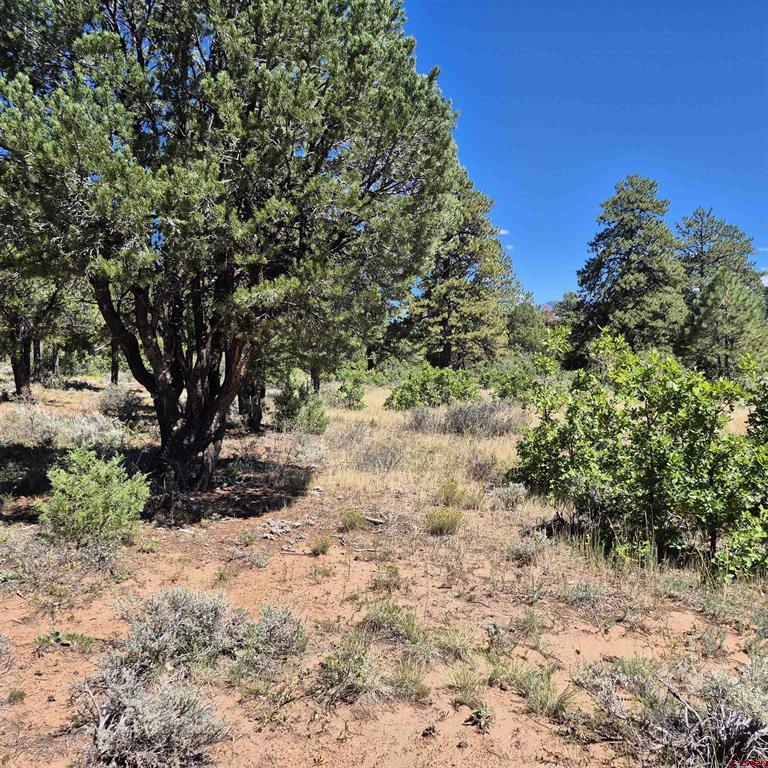 1620 Wildcat Canyon Road Montrose CO 81403