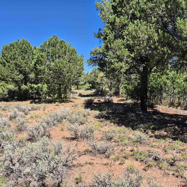 1620 Wildcat Canyon Road Montrose CO 81403