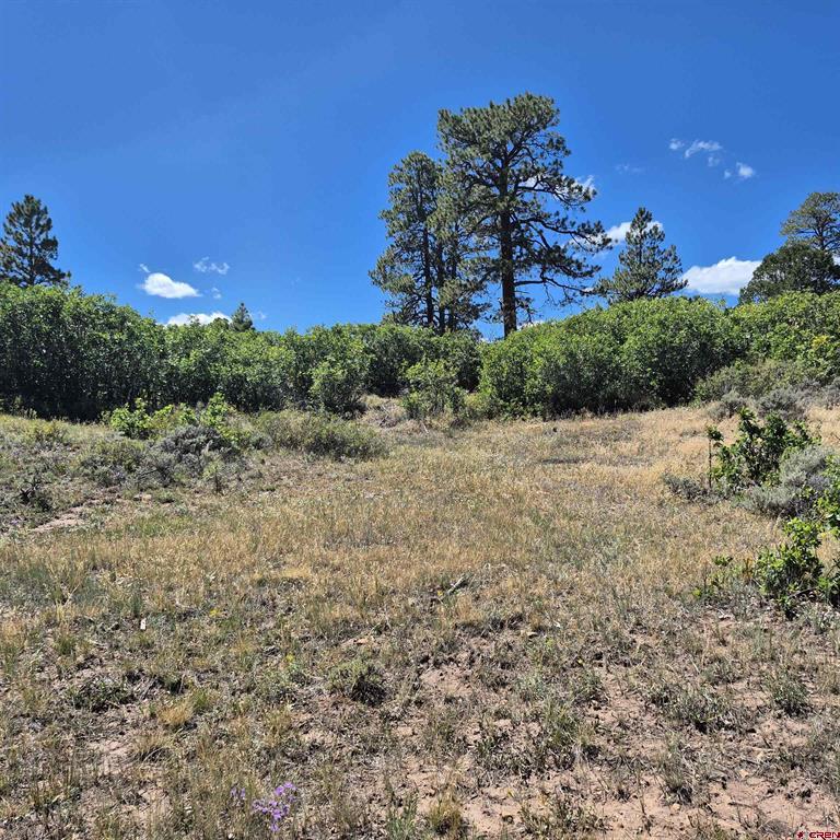 1620 Wildcat Canyon Road Montrose CO 81403