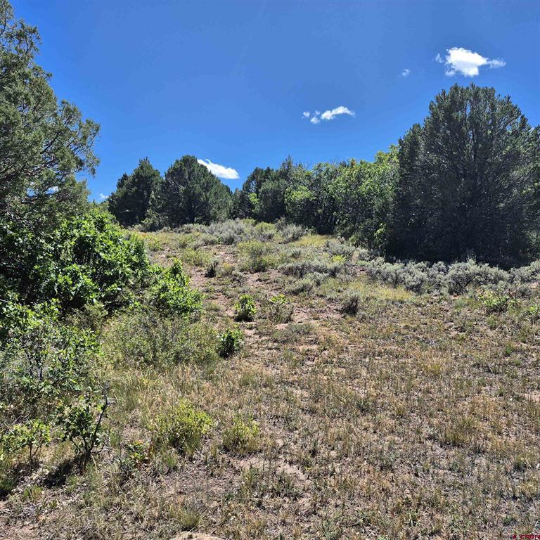 1620 Wildcat Canyon Road Montrose CO 81403