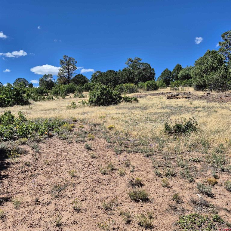 1620 Wildcat Canyon Road Montrose CO 81403