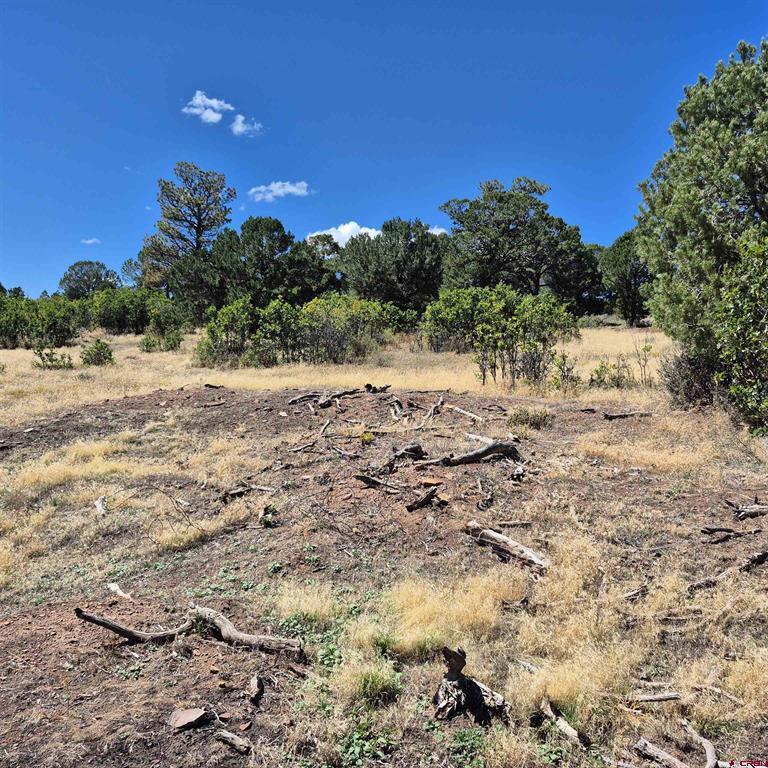 1620 Wildcat Canyon Road Montrose CO 81403