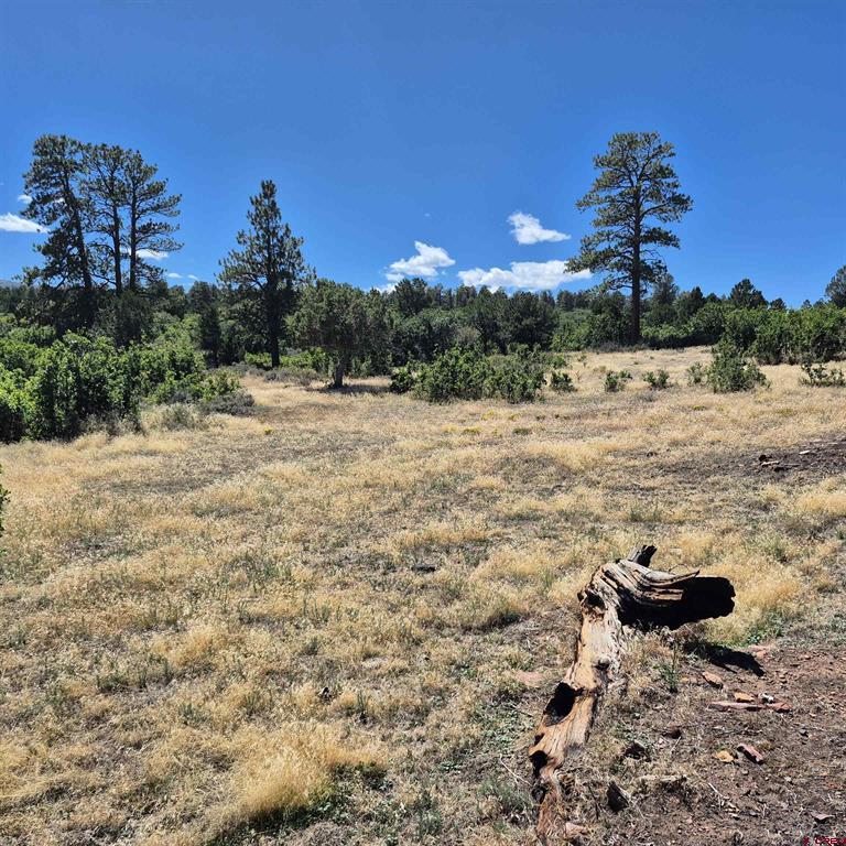 1620 Wildcat Canyon Road Montrose CO 81403