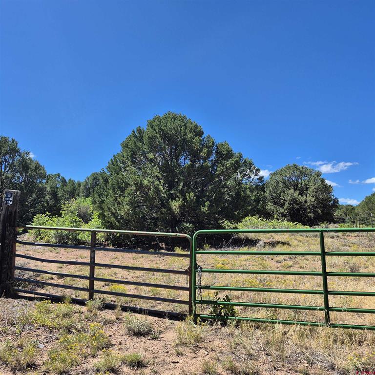 1620 Wildcat Canyon Road Montrose CO 81403