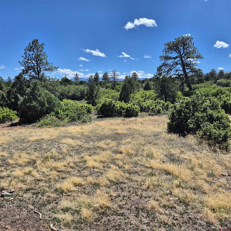 1620 Wildcat Canyon Road Montrose CO 81403