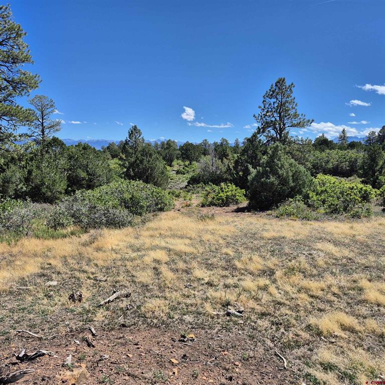 1620 Wildcat Canyon Road Montrose CO 81403