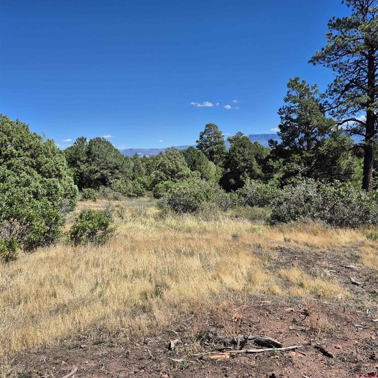 1620 Wildcat Canyon Road Montrose CO 81403