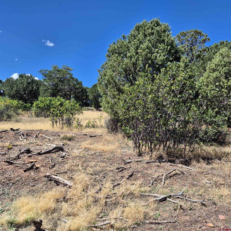 1620 Wildcat Canyon Road Montrose CO 81403