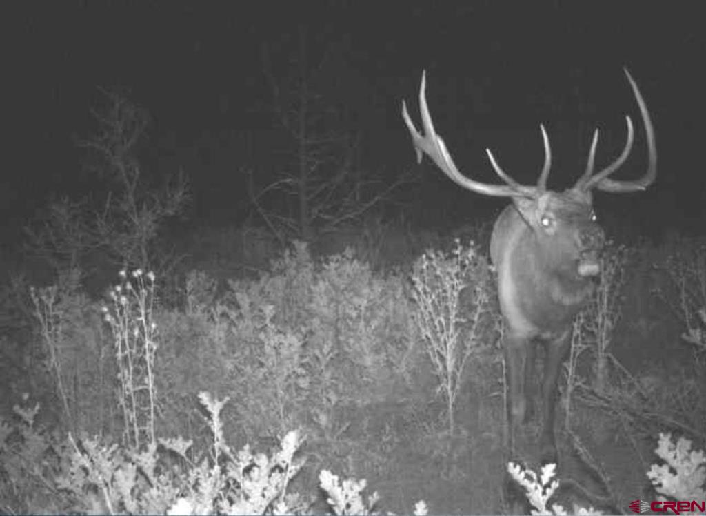 1620 Wildcat Canyon Road Montrose CO 81403