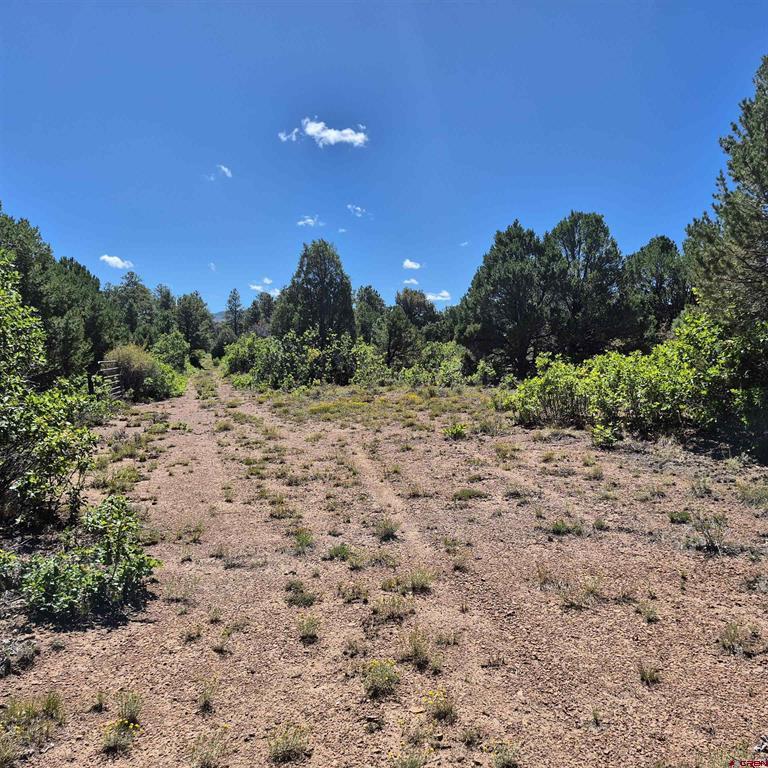 1620 Wildcat Canyon Road Montrose CO 81403